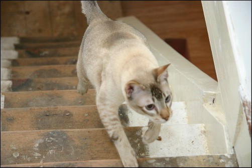 2016 Jan - Janus 20 months